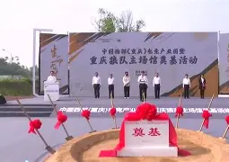 国王客场逆转狼队,取得惊险胜利是哪一集